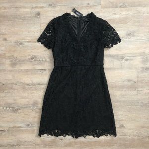 WHBM Lace A-Line Dress- 8